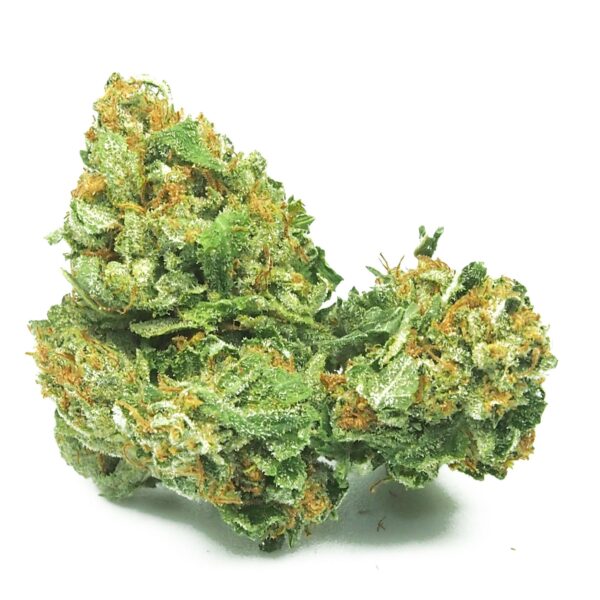 Description Buy Jesus OG in-Turks And Caicos Buy Jesus OG in-Turks And Caicos: After 2 years of testing Kush mother plants the Hells OG Cut was by far the best. Combined with the legendary effects of JTR Jesus OG Kush is what TGA Sub cool feel a sour Kush should measure up to. Two main phenotypes are dominant, a Lemon scented one containing high levels of Limonene. The other is very Kush Dom and the favourite among all of the testers. Typical Kush flavour with subtle undertones of lemon and fruit Flavors. The flavour of Kush takes a back seat to the fruit smell. Data sheet THC Very High (20% or +) % THC 20.12 CBD Low (0 – 1%) % CBD 0.56 Lineage Hells OG x Jacks Cleaner x Space Queen Variety Mostly Indica Gender Regular (non feminized) Photoperiod Normal Flowering Short: 7 – 9 weeks Flowering Time (days) 63 Outdoor Harvest Early October Yield Indoor (g/m2) 450 – 500 Yield Outdoor 600 – 1300 Flavour Earthy, Citrus, Flowery Effects Euphoric, Happy, Uplifted, Energetic, Relaxed Medicinal Use Depression, Stress, Pain Buy Jesus OG During this last two years, Sub cool, the breeder of The Dank could grow and compare different clones of the cannabis strain OG Kush, looking for a rare pearl. He finally found a plant with a higher quality than all others: the Hells Angels OG. This clone of Hells Angels OG is a hybrid crossing between the famous OG KUSH, and a Blackberry from the breeder Nebus, a highly potent marijuana strain. This exceptional cannabis clone was selected in a club of the terrible Hells Angels bikers in Orange County, by the same team who had introduced the clone of OG Kush Larry cut into the medical community clinics. Sub cool decided to cross this female plant of OG Hells with his best male plant of the strain Jack The Ripper , which is a very resinous strain with intense lemony scent, resulting in the Jesus OG, an excellent OG Kush excellent acidulous flavour Buy Jesus OG in-Turks And Caicos. However, Jesus OG keeps a strong Indica predominance, with a relaxing effect, ideal for medicinal use of marijuana or just relaxing after a long working day. You don’t know in what you must have faith ? OG Jesus is here for you! Features of OG Kush Jesus from Sub cool The Dank: *Phenotypes: There are two main and dominant phenotypes, the first with a strong lemony smell, which contains a high level of limonene, and the second with a strong OG Kush dominance, the favourite of the testers. *Height: High *Yield: High *Best growing method: Early apical prune and SCROG for a maximum bud production. *Flowering time: 53 to 63 days *Sativa 20% / Indica 80% *Hybrid: OG Kush X Blackberry X Jacks Cleaner X Space Queen *Effect Type: Narcotic, favouring reflection, relieves pain while with some mental clarity. *Taste and Odor type: Typical OG Kush flavour , with subtle lemony and fruity tones. The aromas of the OG Kush accompany perfectly the fruity smell