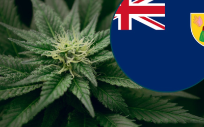 Turks and Caicos Weed